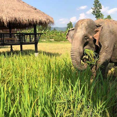 Paiberngboc Resort Kenue Kang Ngoại thất bức ảnh